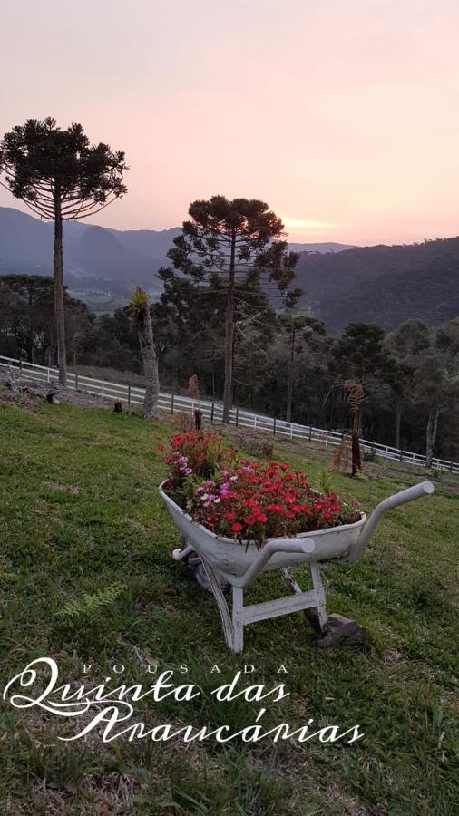 Pousada Quinta Das Araucarias Urubici Kültér fotó